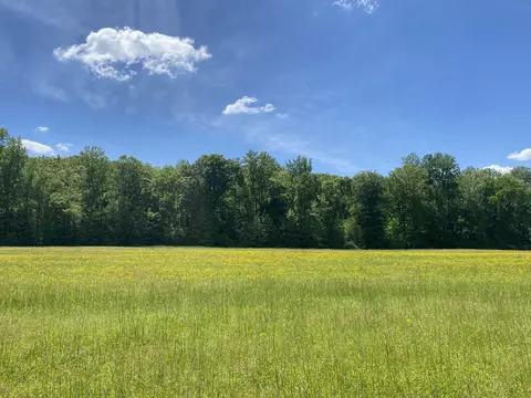 0 Lick Creek Rd, Linden, TN 37096