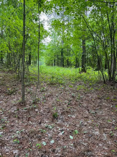3715 Split Rail Way, Guild, TN 37340 photo 33