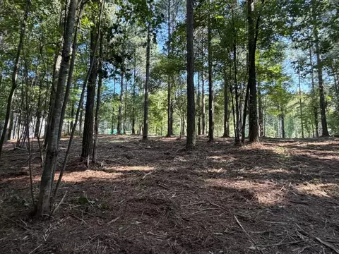 3715 Split Rail Way, Guild, TN 37340 photo 12