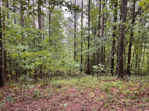 3715 Split Rail Way, Guild, TN 37340 photo 30