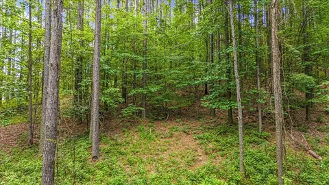 3715 Split Rail Way, Guild, TN 37340 photo 27
