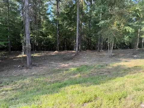 3715 Split Rail Way, Guild, TN 37340 photo 3