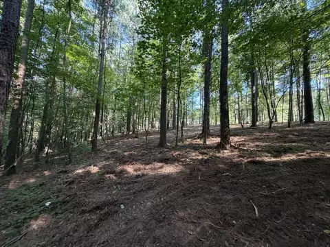 3715 Split Rail Way, Guild, TN 37340 photo 16