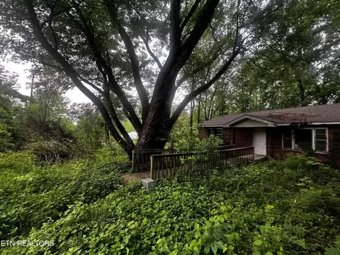209 Stephens Ln, Jamestown, TN 38556
