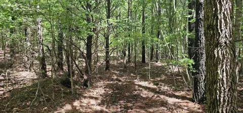0 Sunset Rd, Spencer, TN 38585