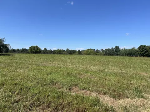 236 Beartown Rd, Loretto, TN 38469