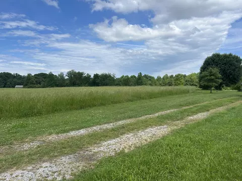Exterior - 236 Beartown Rd, Loretto, TN 38469 photo 11 of 13