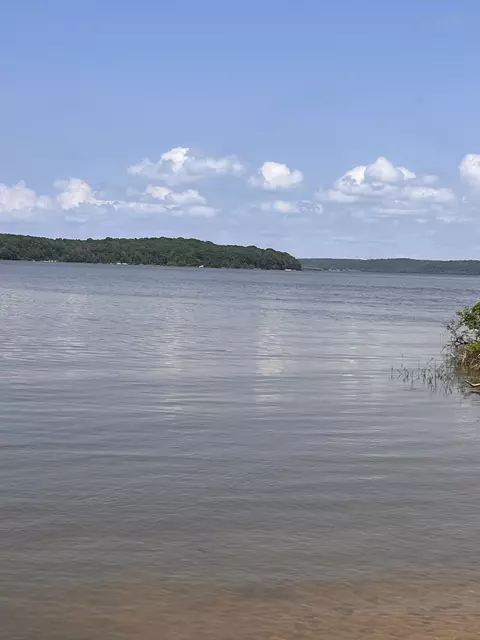 740 Lakeview Dr, Springville, TN 38256
