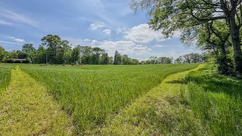 0 Sturgeon Creek Rd, Cedar Hill, TN 37032