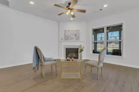 Living - 1084 Sumner Grv, Spring Hill, TN 37174 photo 3 of 5