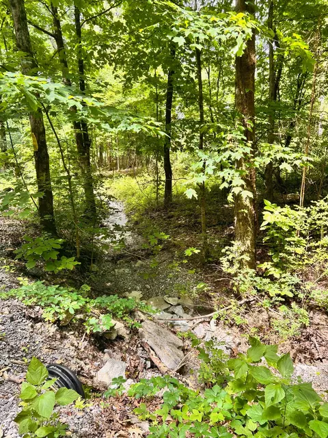 0 Heine Ln, Hartsville, TN 37074