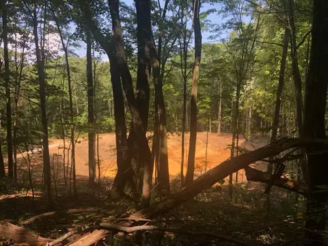 464 Moonlight Ln, Jasper, TN 37347