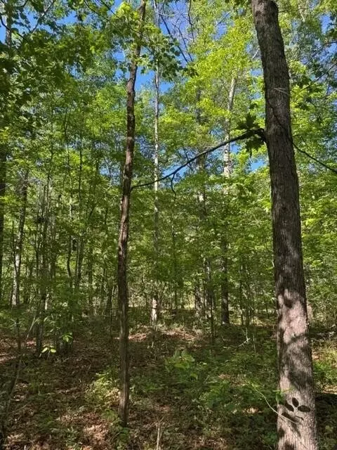 585 Genesis Ln, Tracy City, TN 37387
