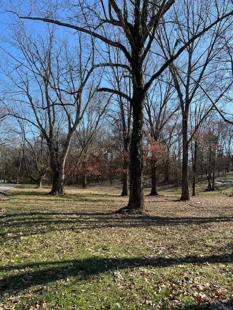 0 Cayce Valley Dr, Columbia, TN 38401