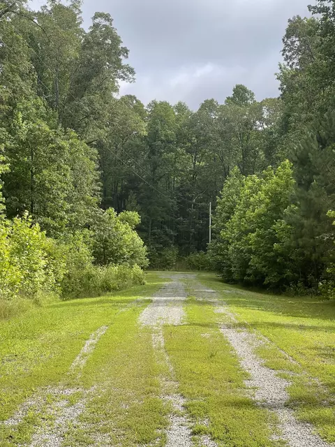 375 War Eagle Dr, Cedar Grove, TN 38321 photo 11