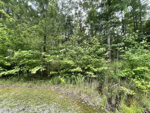 375 War Eagle Dr, Cedar Grove, TN 38321 photo 8