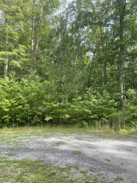 375 War Eagle Dr, Cedar Grove, TN 38321 photo 6