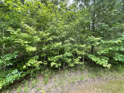 375 War Eagle Dr, Cedar Grove, TN 38321 photo 7