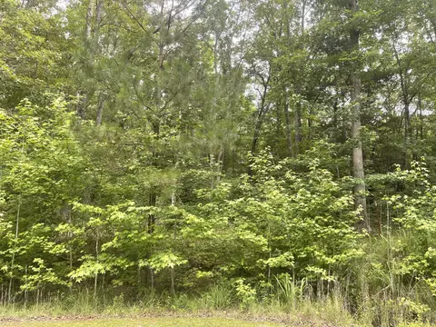 375 War Eagle Dr, Cedar Grove, TN 38321 photo 5