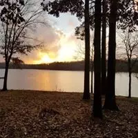 375 War Eagle Dr, Cedar Grove, TN 38321 photo 40