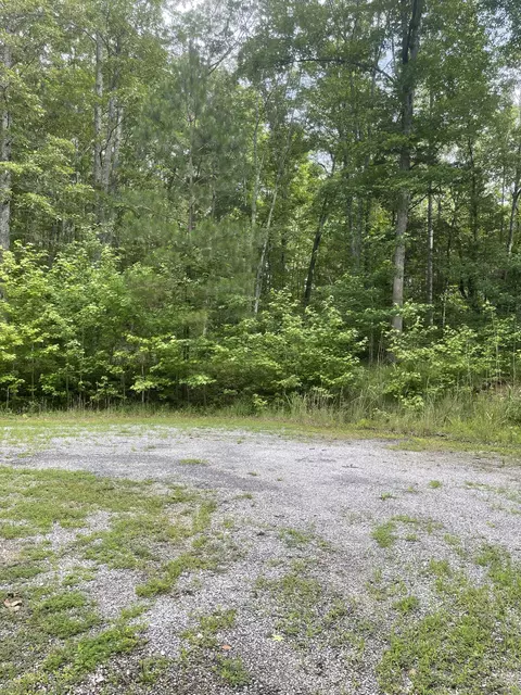 375 War Eagle Dr, Cedar Grove, TN 38321 photo 2