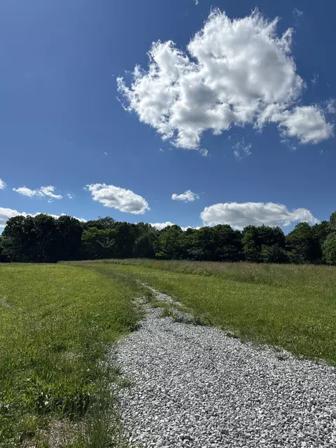 0 Goad Ridge Ln, Pleasant Shade, TN 37145