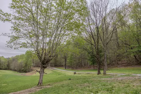 846 Bailey Rd, Dunlap, TN 37327 photo 6