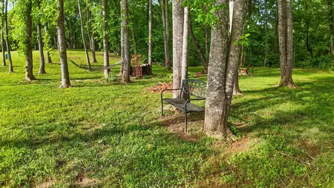 6288 Blacksmith Dr, Pleasant View, TN 37146 photo 56