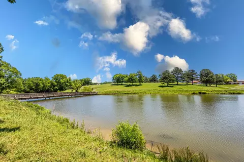 View/Area - 565 Eagle Loop, Loretto, TN 38469 photo 2 of 3