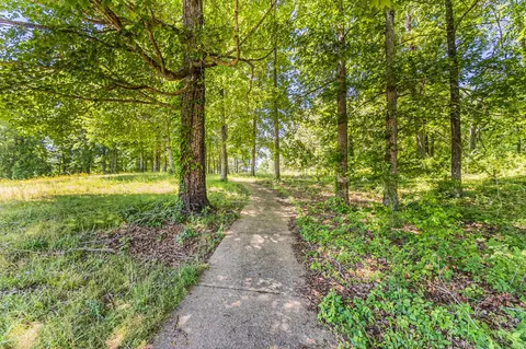 Other - 565 Eagle Loop, Loretto, TN 38469 photo 16 of 16