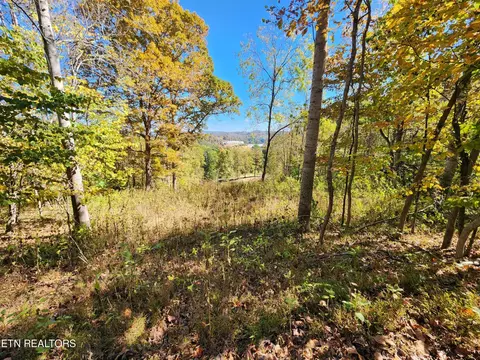 7 Par View Ln, La Follette, TN 37766
