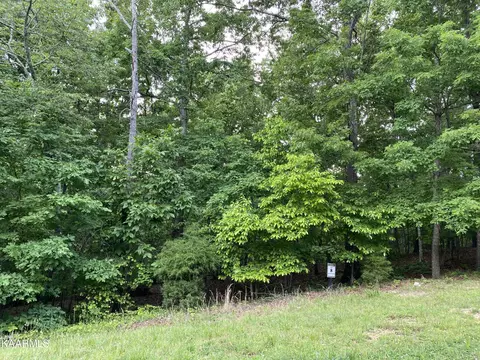 1976 Old Dogwood Tr, Loudon, TN 37774