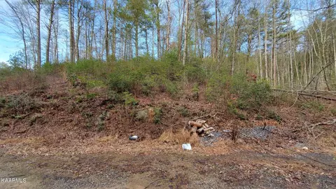 3 Coy Rhea Way, Sevierville, TN 37876