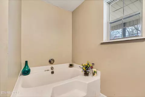 165 Colditz Ln, Oneida, TN 37841 photo 34