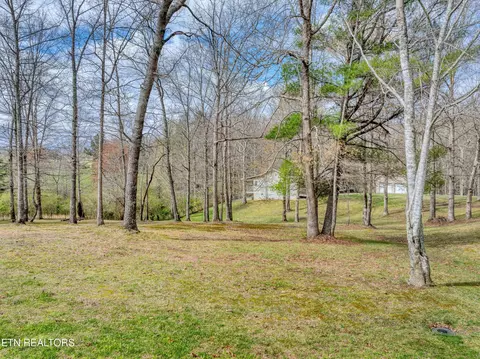 165 Colditz Ln, Oneida, TN 37841 photo 39
