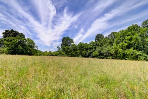 259 Archer Rd, Luttrell, TN 37779 photo 4