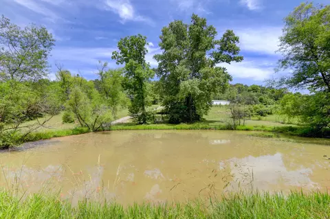 259 Archer Rd, Luttrell, TN 37779 photo 29