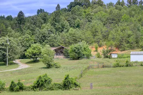 259 Archer Rd, Luttrell, TN 37779 photo 22