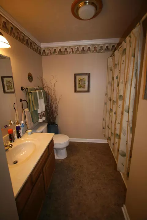 1408 Bethvale Dr, Greenback, TN 37742 photo 34
