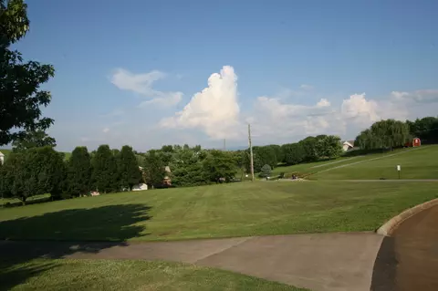 1408 Bethvale Dr, Greenback, TN 37742 photo 10