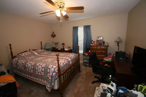 1408 Bethvale Dr, Greenback, TN 37742 photo 33