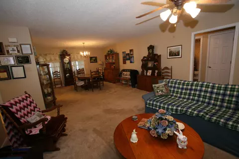 1408 Bethvale Dr, Greenback, TN 37742 photo 8