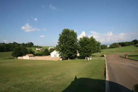 1408 Bethvale Dr, Greenback, TN 37742 photo 15