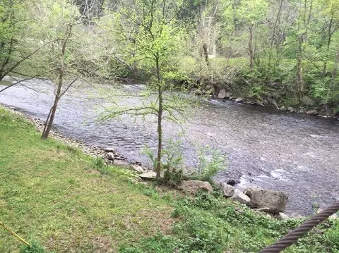 6842 Walnut Loop Rd, Townsend, TN 37882 photo 2
