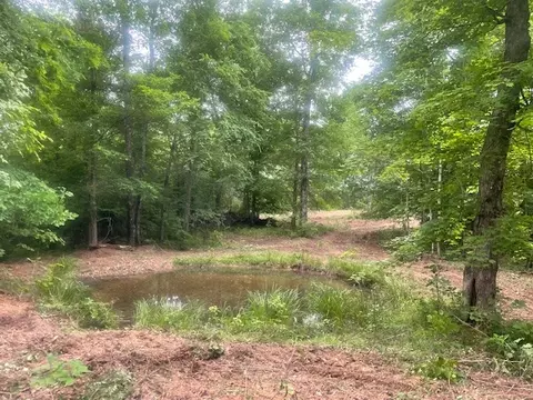 0 Mccollum Rd, Hurricane Mills, TN 37078