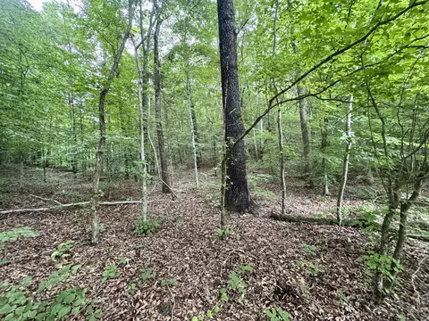 1030 Highway 438 W, Lobelville, TN 37097
