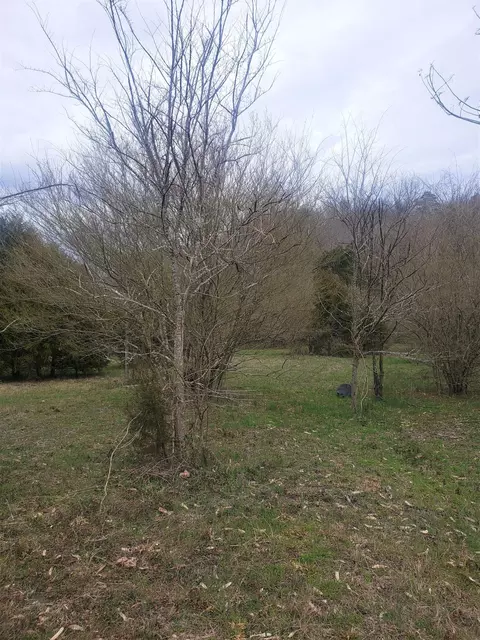 249 Daus Mill Rd, Dunlap, TN 37327
