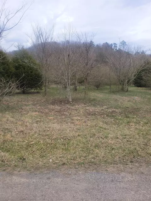 249 Daus Mill Rd, Dunlap, TN 37327 photo 2