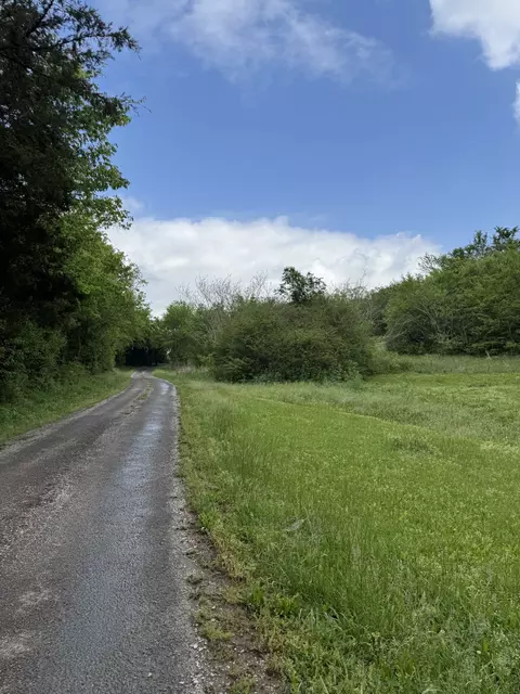 954 Normandy Ln, Normandy, TN 37360 photo 5
