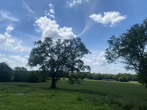 1982 Hamilton Chambers, Lebanon, TN 37087